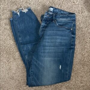 LOFT Classic Blue Skinny Jeans